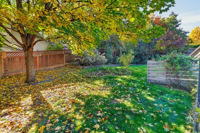 Private backyard with mature trees and garden
