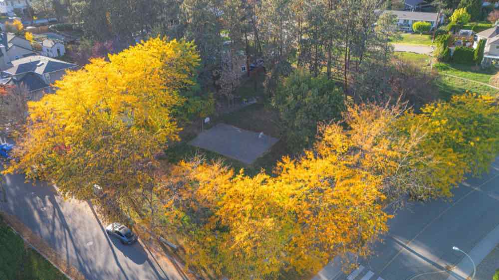 Drone photo of the street and autumn trees around 1759 Spruceglen Drive