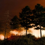 West Kelowna REALTORS Urge the Importance of Fireproofing Your Home