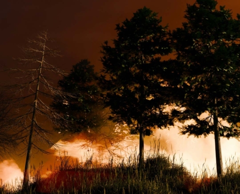 West Kelowna REALTORS Urge the Importance of Fireproofing Your Home