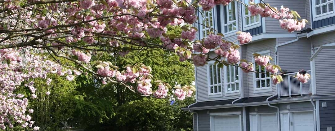 Where to Live in Kelowna