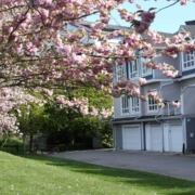 Where to Live in Kelowna