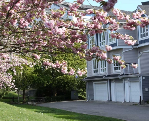 Where to Live in Kelowna